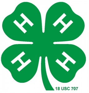 Cover photo for Hyde County 4-H Summer Programs