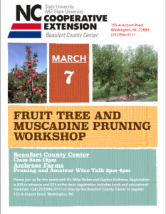 Cover photo for Fruit Tree and Muscadine Class and Pruning Workshop