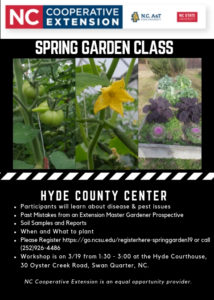 Hyde Spring Garden flyer