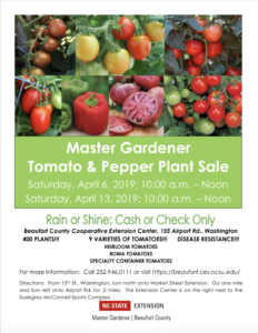 Veggie Transplant Sale-Flyer