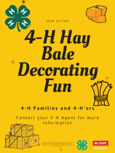 Cover photo for 4-H Hay Bale Decorating Contest