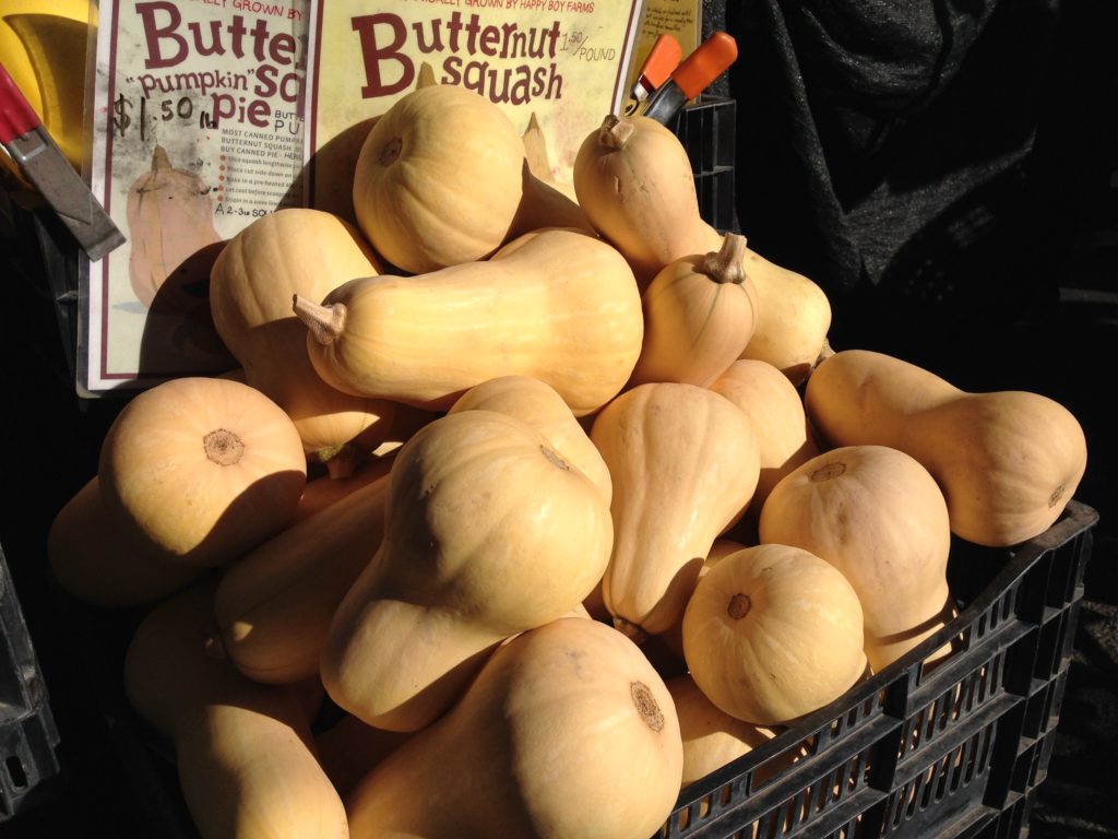 Butternut Squash