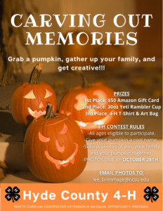Cover photo for Carving Out Memories With 4-H