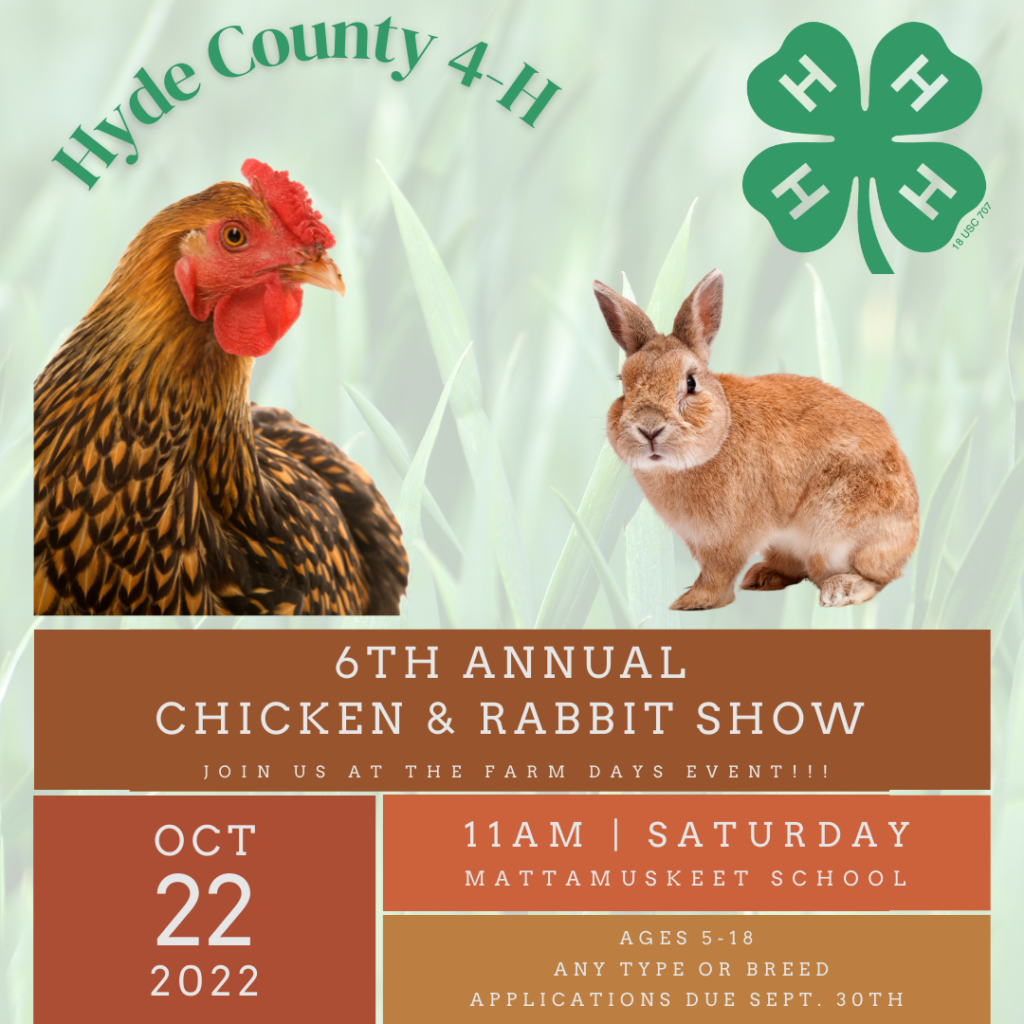 Hyde County 4-H, 6th Annual Chicken & Rabbit Show, Join us at the farm days event. Saturday, October 22, 2022, 11:00 a.m. at Mattamuskeet School. Ages 5 – 18 Any type or breed, applications due September 30th.