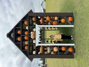 The photo is my daughter, Willa Grace, standing in the Pumpkin House at Stokes Family Farm in Greenville, NC. Photo Credit: Kayla Fox